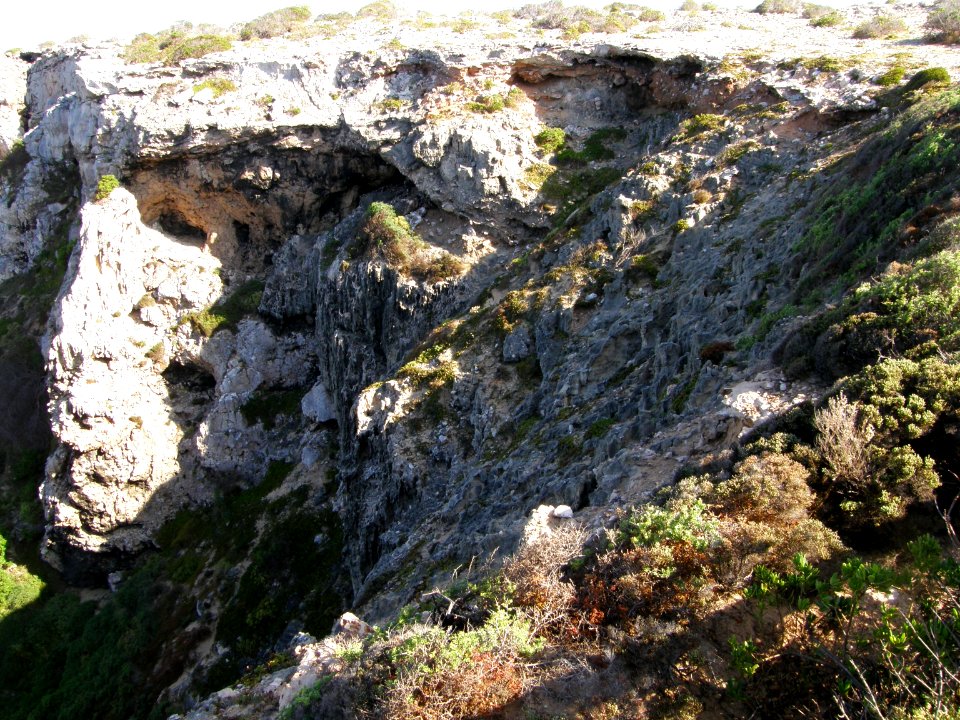 PA160041