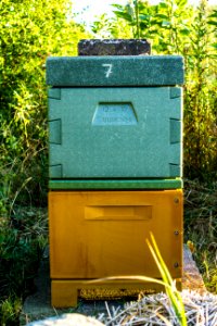 Typologie3
