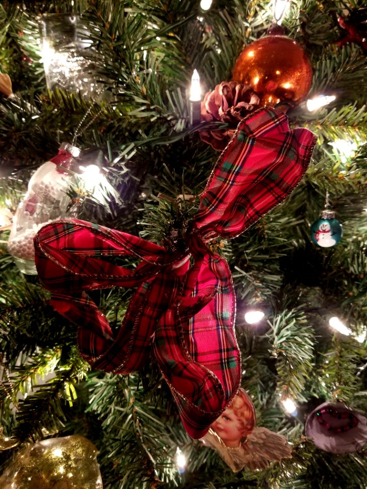 Day 356 Christmas ribbon