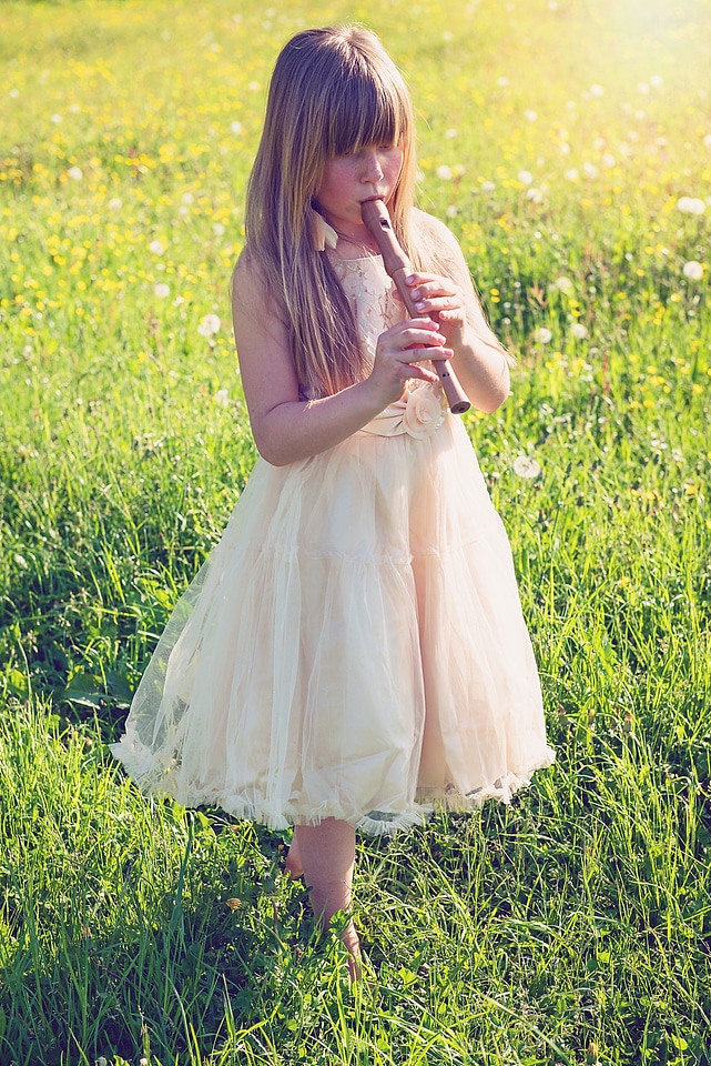 Flute music meadow