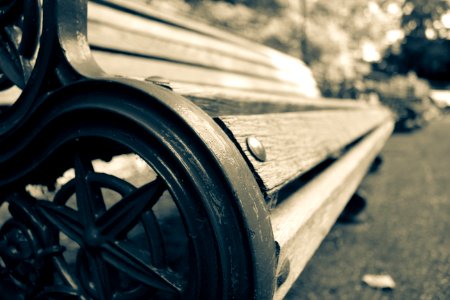 The bench