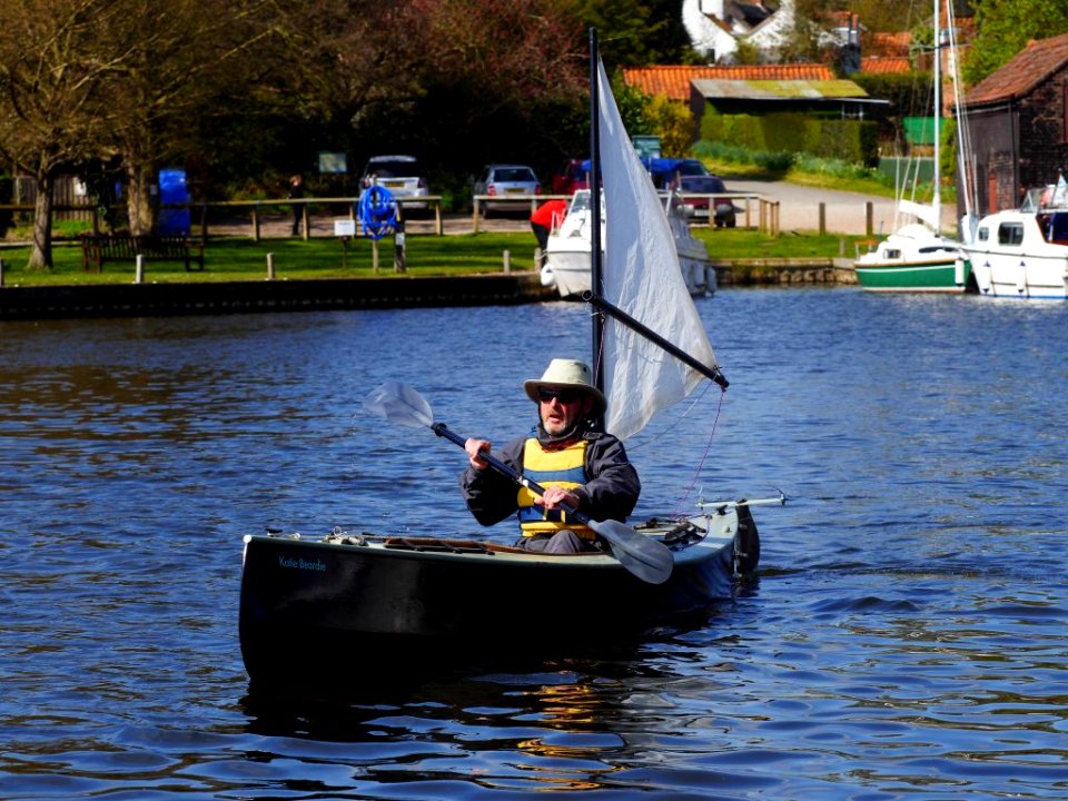 Barton-Turf-2015-Barton15(1250315)
