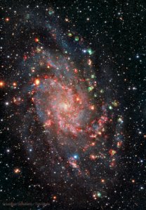 Messier 33 photo