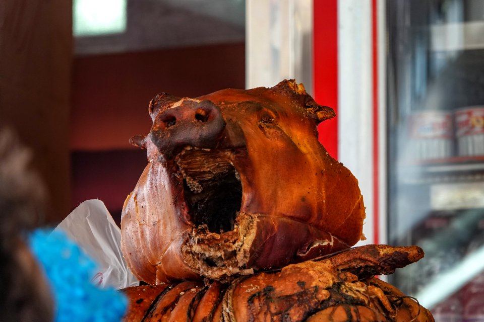 Carnevale di Viareggio 2019
