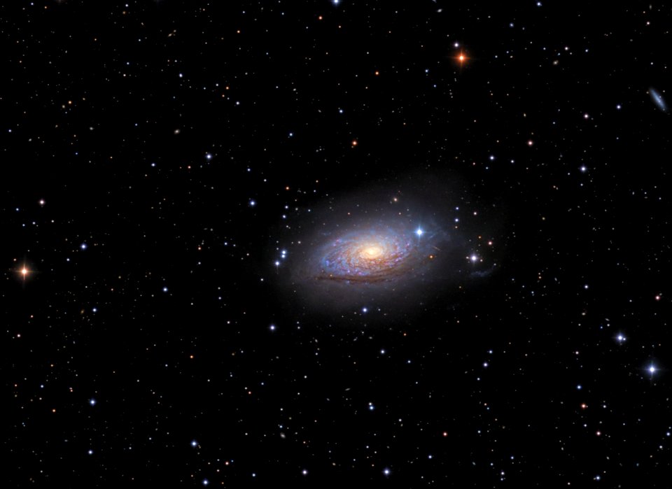 NGC 5055 (M63) and its stellar streams