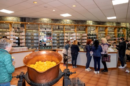 Gita a Montecarlo 06042019