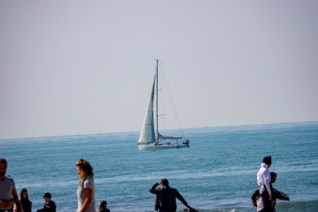 Carnevale di Viareggio 2019 photo