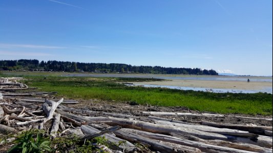 Comox  air park