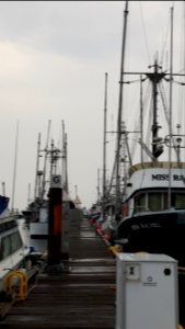 Day 249 waiting for the shrimp boat