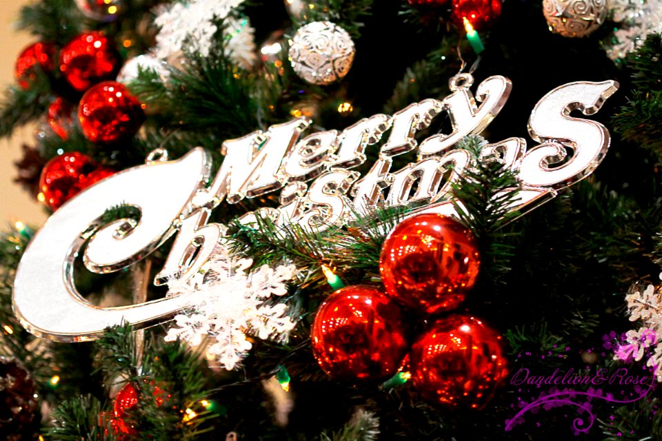 The Best Wishes For Christmas!