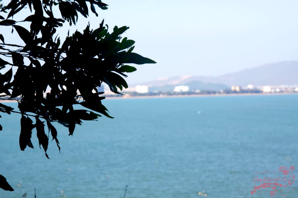 Quy Nhơn - Bình Định -Việt Nam