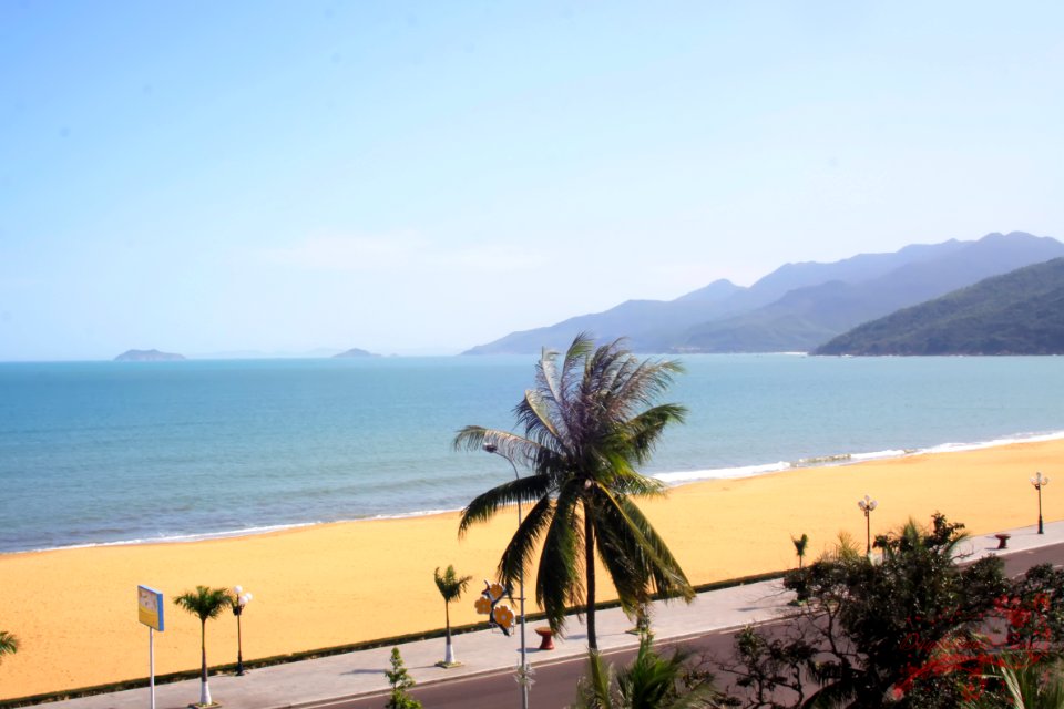 Quy Nhơn - Bình Định -Việt Nam