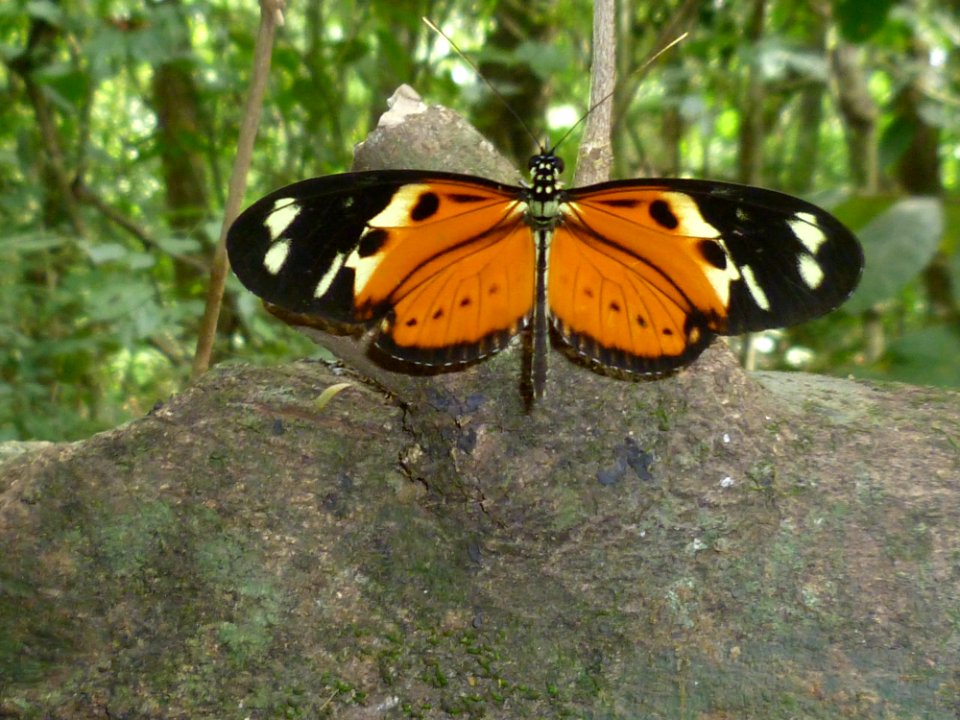 P1000793