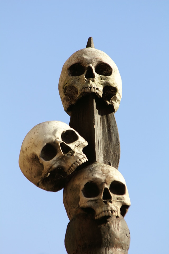 Head death horror