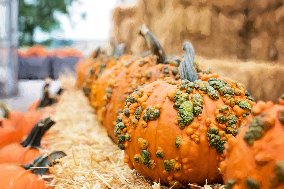 Orange decoration autumn background