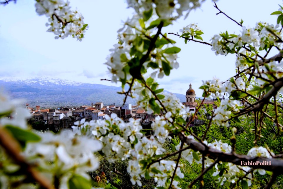 Veduta di Randazzo. Primavera 2015.