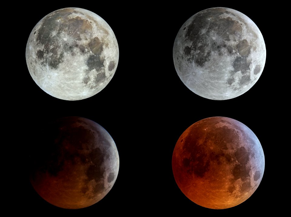 Lunar Eclipse 20190121 - tile2