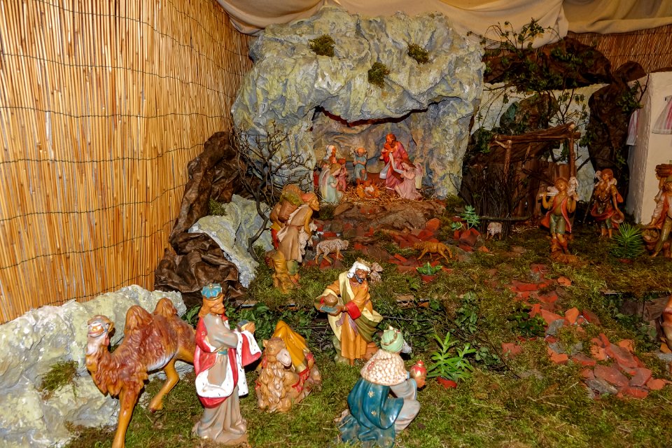 DSC02851