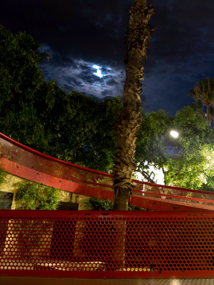 Color en la noche