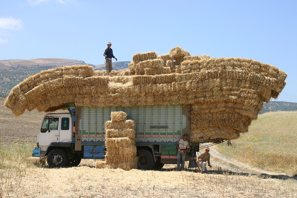 Hay work agriculture