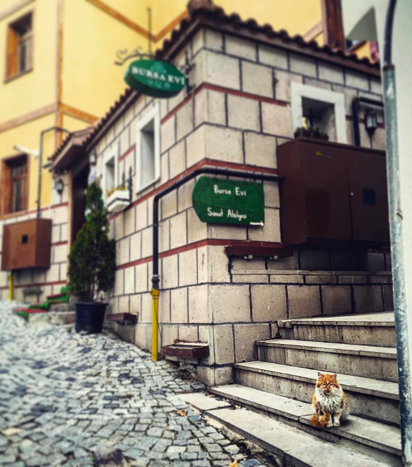 ULUS , ANKARA