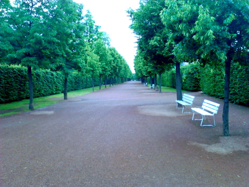 IMG 20150619 173707