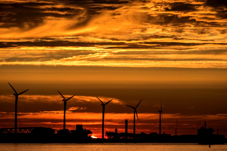 Silence is Golden, Nieuwe waterweg, Hoek van Holland