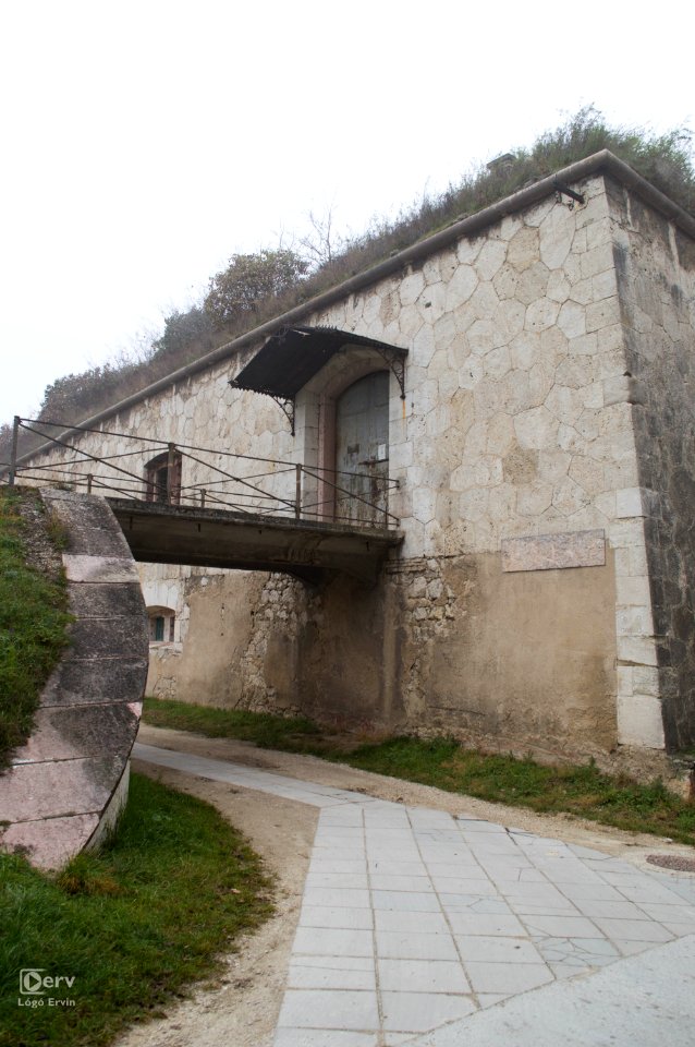 DSC 4163