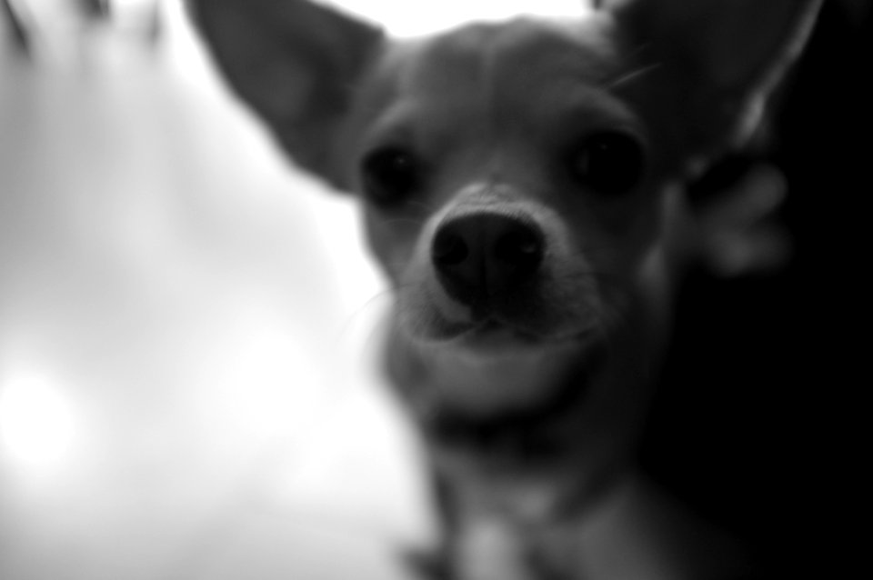 DSCF2991