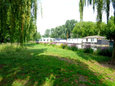 DSC01114