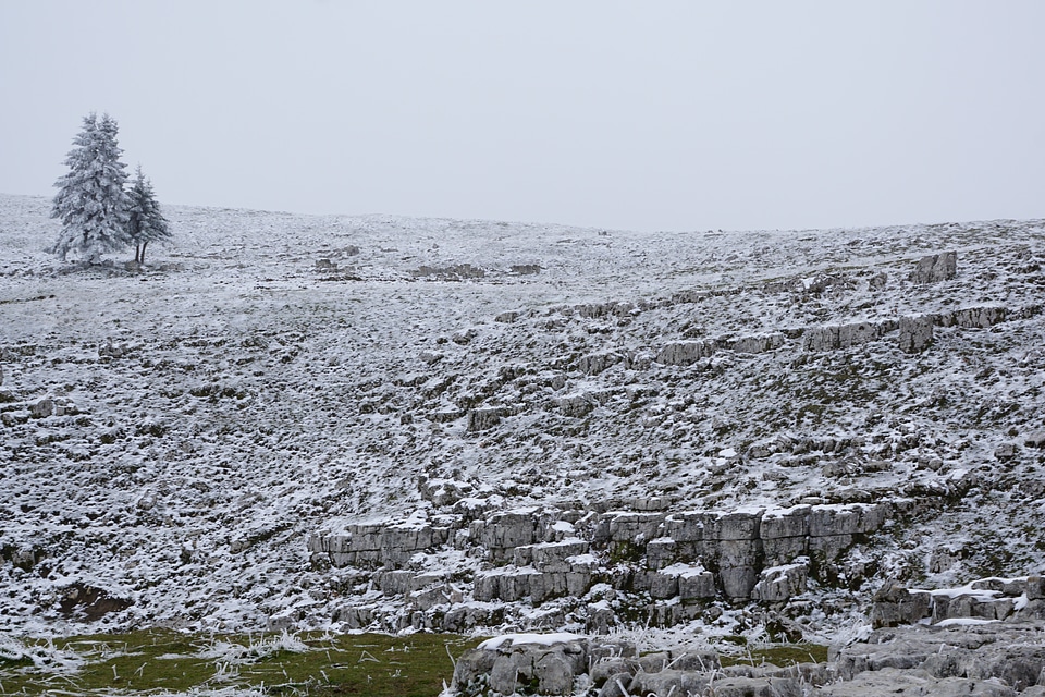Landscape nature snow