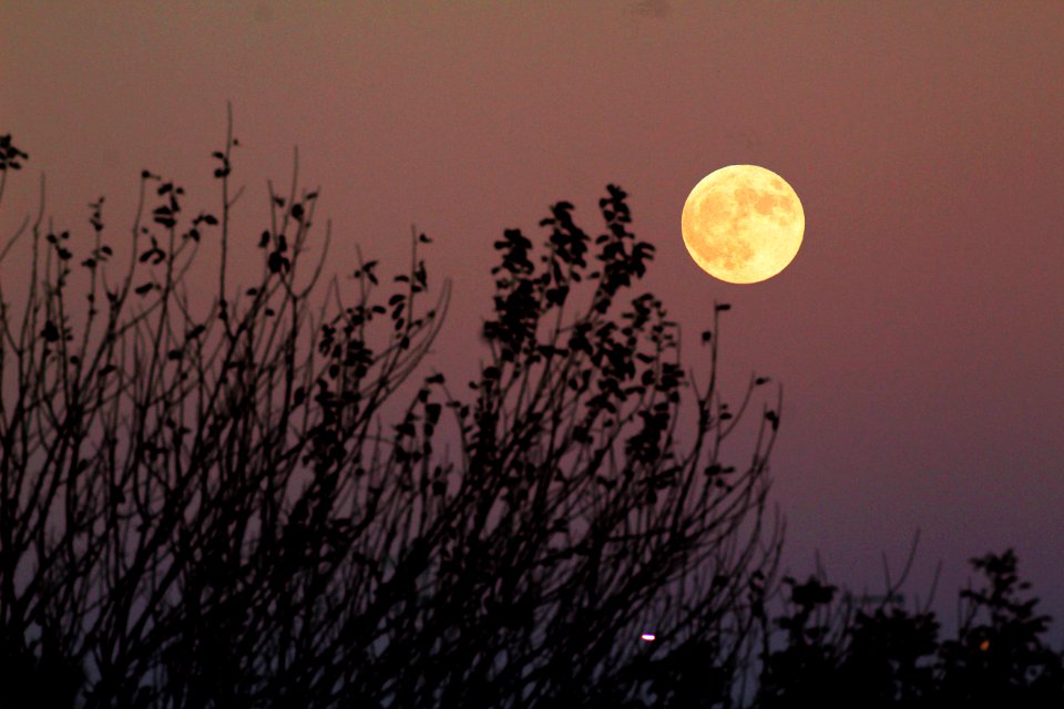 "Blue Moon" on October 31, 2020