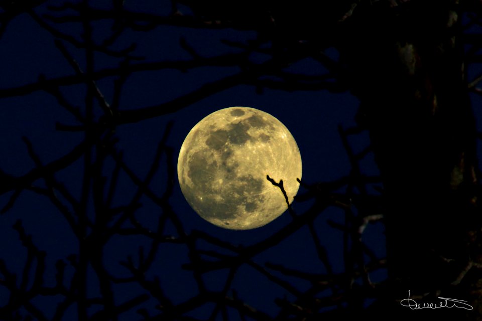 Supermoon on February 8, 2020