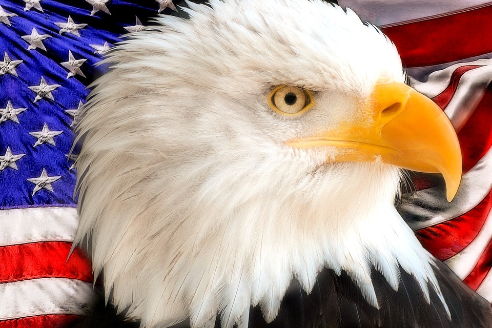 America american blue