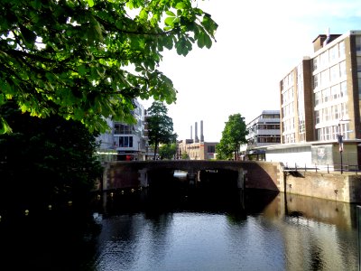 DSC00750