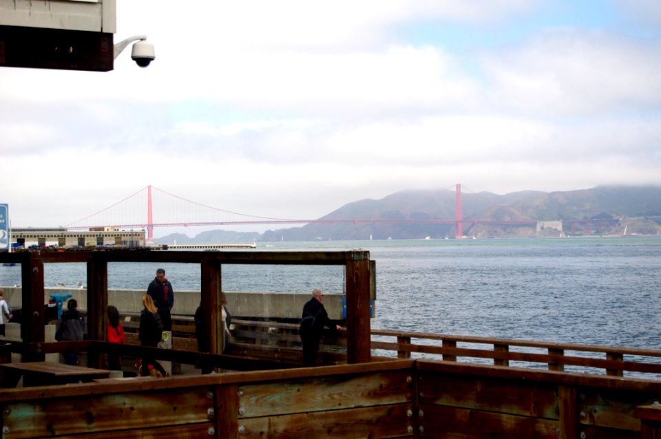 "Dude, is that the one bridge?" photo