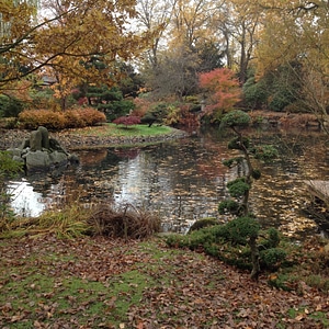 Garden japanese wrocław
