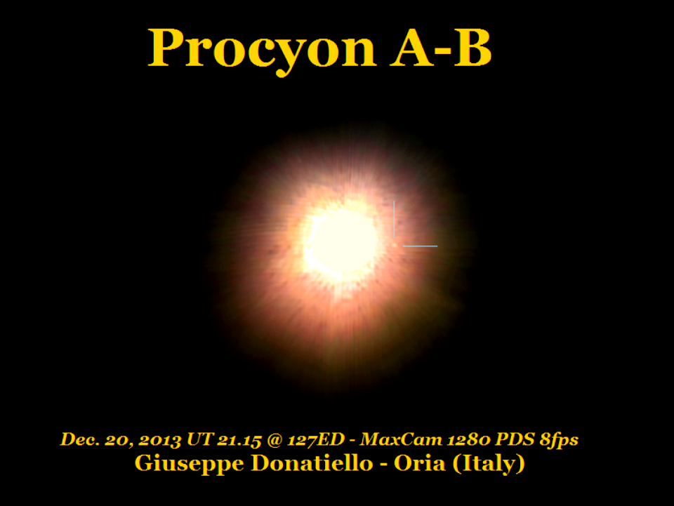 Procyon