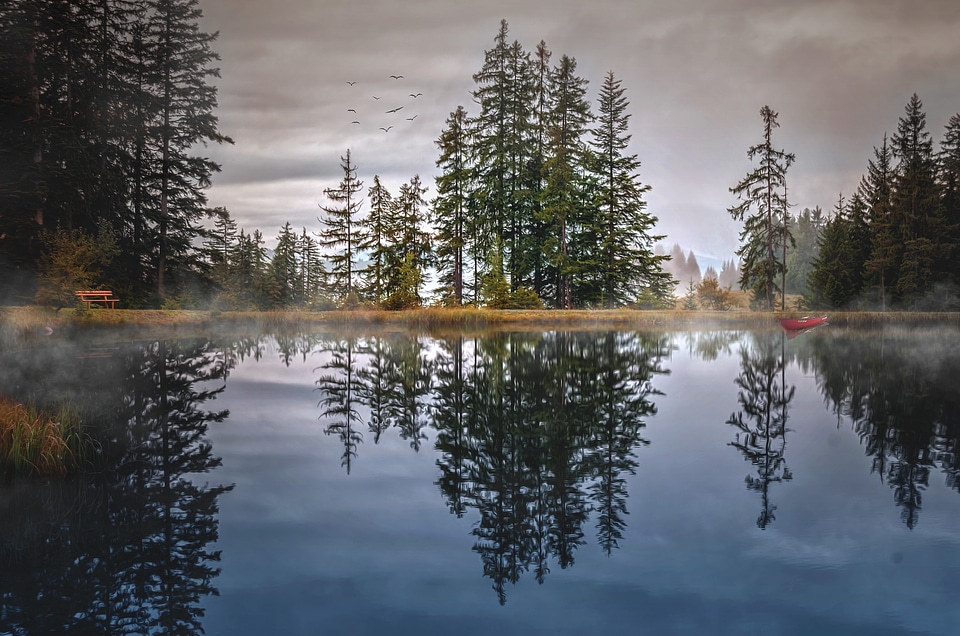 Nature landscape rest