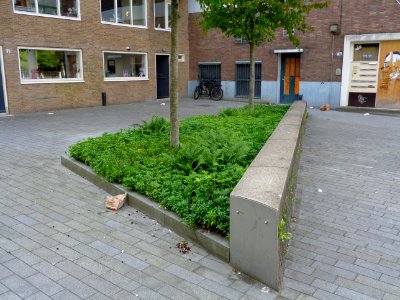 DSC00783