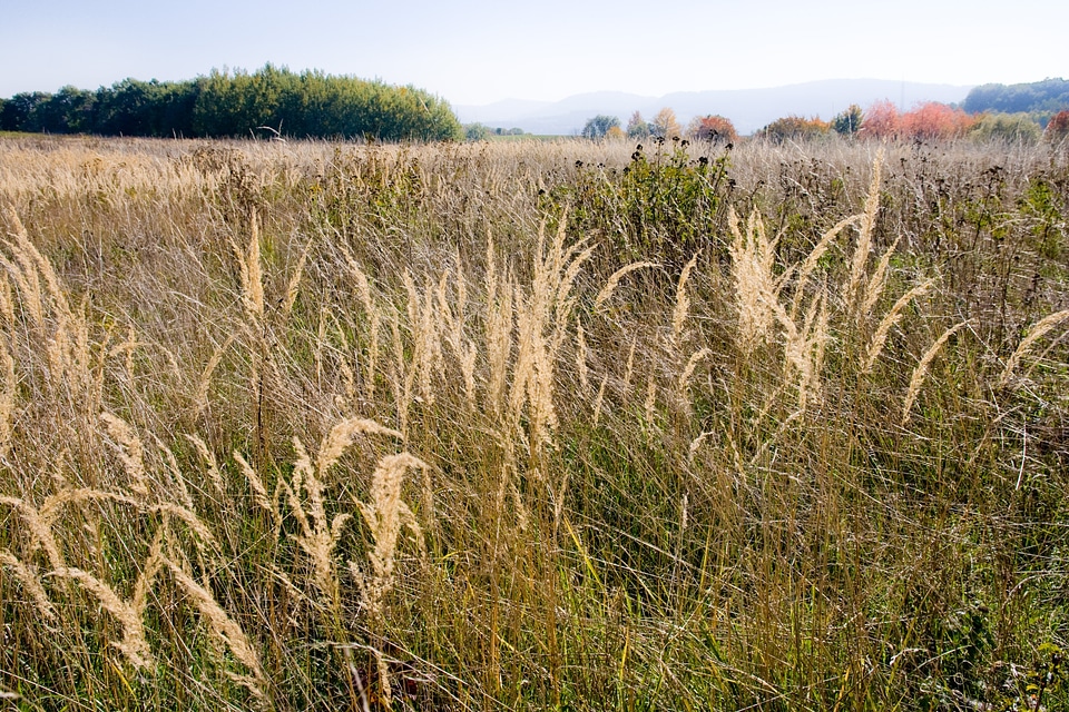 Season nature landscape