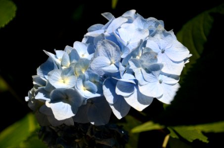 DSC 4510