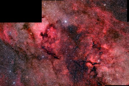 Cygnus  full stitch