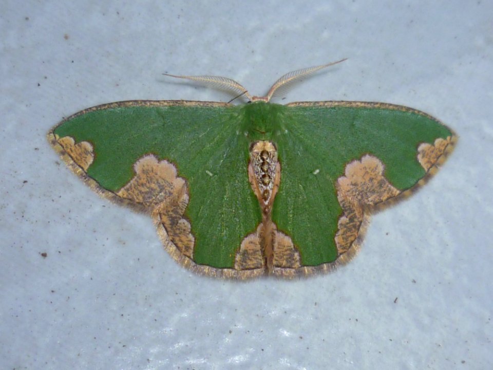P1000408