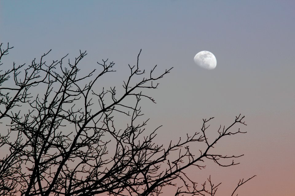 Moonrise on Feb. 22, 2021 (IMG 5718)