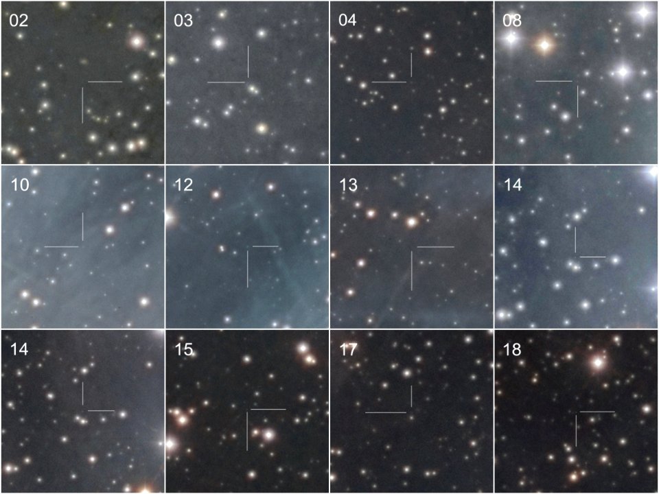 12 brown dwarfs in the Pleiades