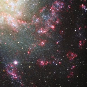 Messier 33 HII regions photo