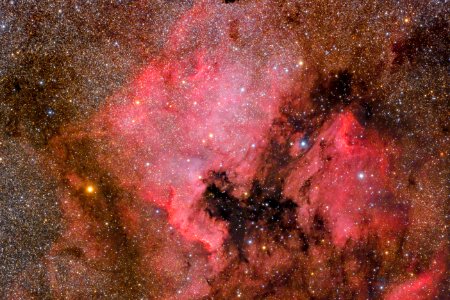 NGC 7000 + IC 5070 photo