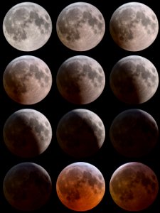 Total Lunar Eclipse on Jan. 21, 2019 Hdr - tile