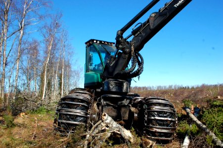 Lähes kaikki metsä jo kaadettu. Kuva Hanhikivenniemeltä 22.huhtikuuta 2015